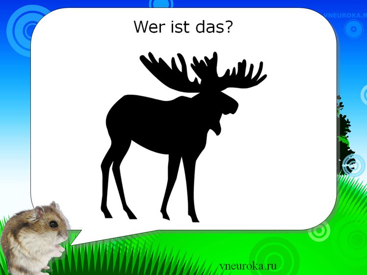 Тест на немецком языке для школы и детского сада PowerPoint.