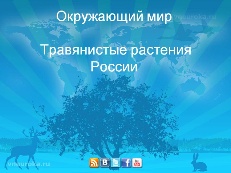 Презентация «Лекарственные травы, травянистые растения России»