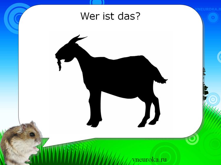 Презентация «Немецкий язык детям: Haustiere (домашние животные)»