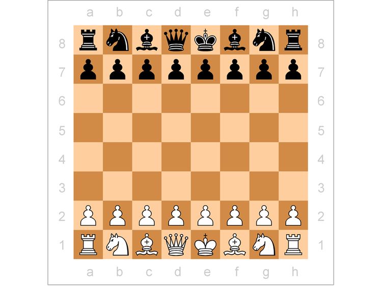 Презентация по шахматам: шахматная доска и расстановка фигур.